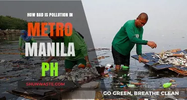 Metro Manila's Pollution Crisis: A Dire Situation
