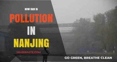 Nanjing's Pollution Problem: A Critical Analysis