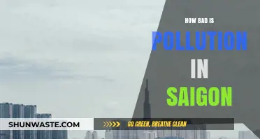 Saigon's Pollution: A City Choking on Success