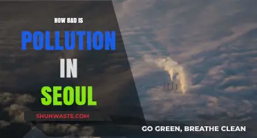 Seoul's Pollution Problem: A Dire Situation