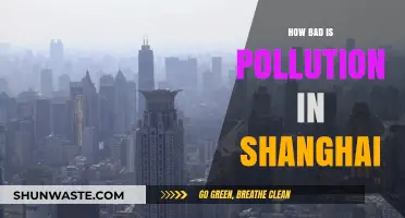 Shanghai's Pollution Problem: A Critical Analysis