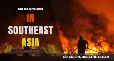 Southeast Asia's Pollution Crisis: A Dire Situation