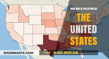 Pollution's Impact: A US Story