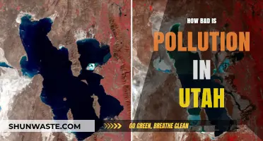 Utah's Pollution Problem: A Critical Analysis