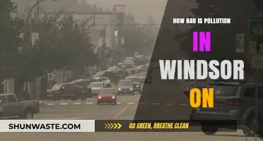 Windsor's Pollution Problem: A Critical Analysis