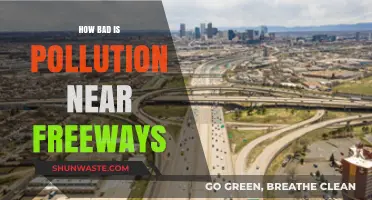 Freeway Pollution: How Dangerous is the Air?
