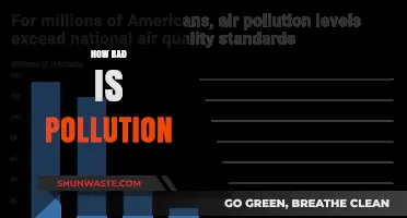 The Dark Side of Pollution: A Global Crisis