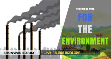 Pork's Environmental Impact: Uncovering the Hidden Costs of Pig Farming