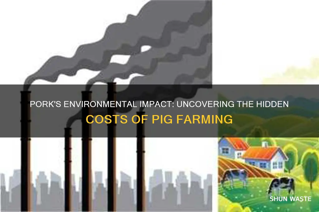 how bad is pork for the environment