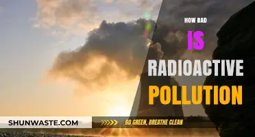 Radioactive Pollution: A Slow, Silent, and Deadly Threat