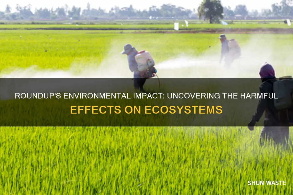 how bad is roundup for the environment