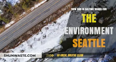 Seattle's Road Salt Dilemma: Environmental Impact and Sustainable Alternatives