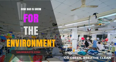 Shein's Environmental Impact: Uncovering the Fast Fashion Giant's Ecological Footprint