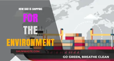 Shipping's Environmental Impact: Uncovering the Hidden Costs of Global Trade