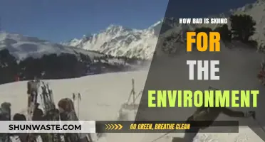Skiing's Environmental Impact: A Slippery Slope for Our Planet?