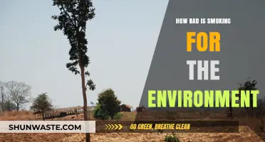 Smoking's Hidden Toll: Environmental Damage and Ecological Consequences Explored