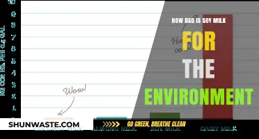 Soy Milk's Environmental Impact: Sustainable Choice or Eco-Disaster?