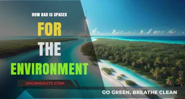 SpaceX's Environmental Impact: Sustainable Innovation or Ecological Threat?