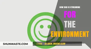 Streaming's Hidden Cost: Environmental Impact of Digital Entertainment