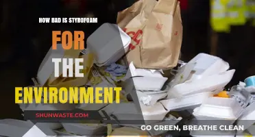 The Environmental Impact of Styrofoam: A Harmful Legacy