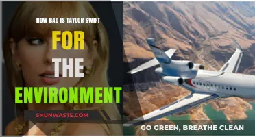 Taylor Swift's Environmental Impact: Private Jets, Tours, and Carbon Footprint