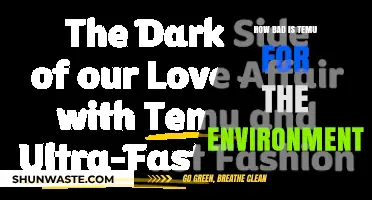 Temu's Environmental Impact: Uncovering the Hidden Costs of Fast Fashion