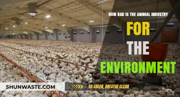 The Devastating Environmental Impact of the Animal Industry Revealed