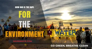 DAPL's Environmental Impact: Uncovering the Pipeline's Ecological Consequences
