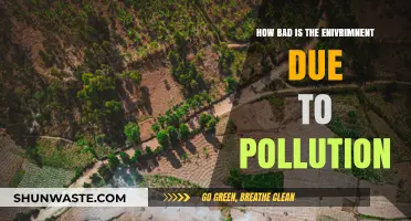 Pollution's Impact: Our Environment's Dire State