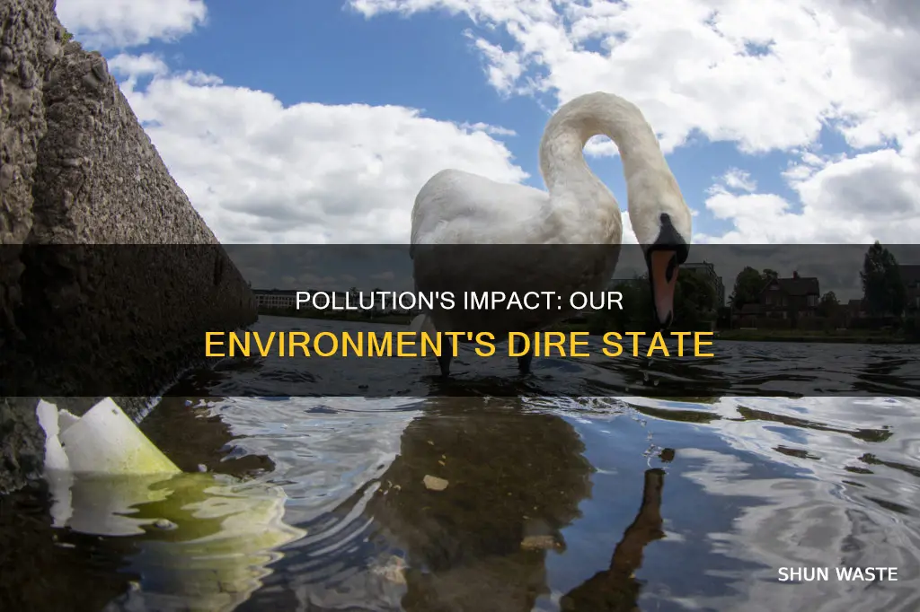 how bad is the enivrimnent due to pollution