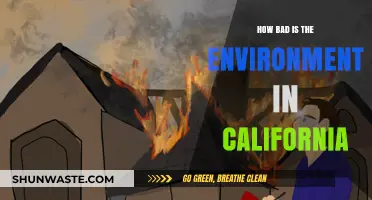 California's Environmental Crisis: Air, Water, and Climate Challenges Explored