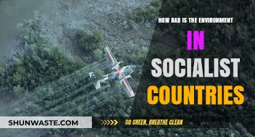 Socialist Nations' Environmental Struggles: A Critical Analysis of Ecological Impact