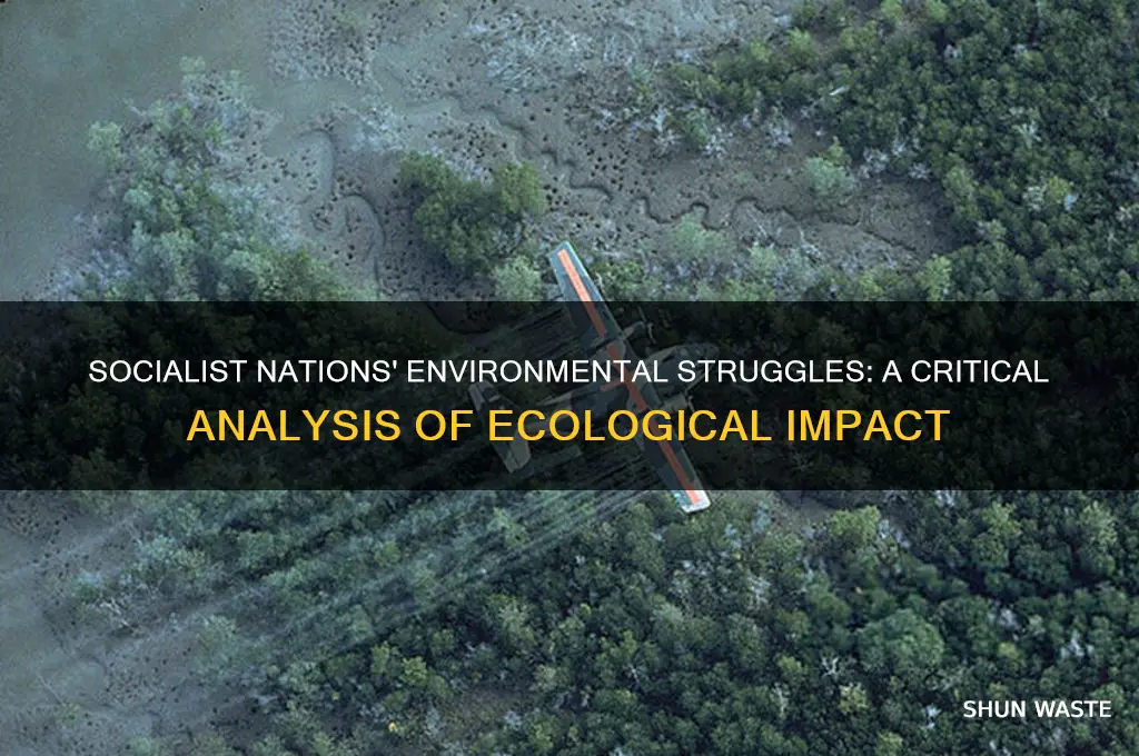 how bad is the environment in socialist countries