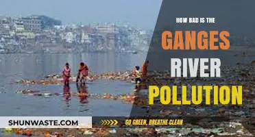 Ganges River Pollution: A Critical Environmental Disaster