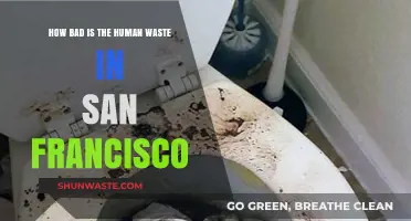 San Francisco's Human Waste Crisis: How Severe Is the Problem?