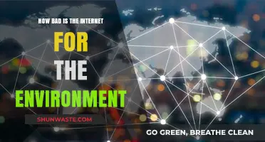 The Internet's Hidden Environmental Cost: A Sustainable Digital Future?