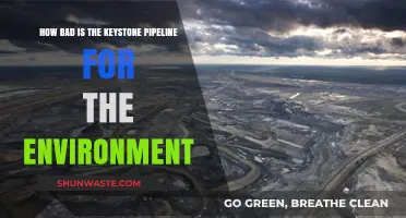 Keystone Pipeline's Environmental Impact: A Critical Analysis of Its Harm