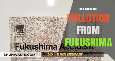 Fukushima's Pollution: Understanding the Ongoing Ecological Disaster