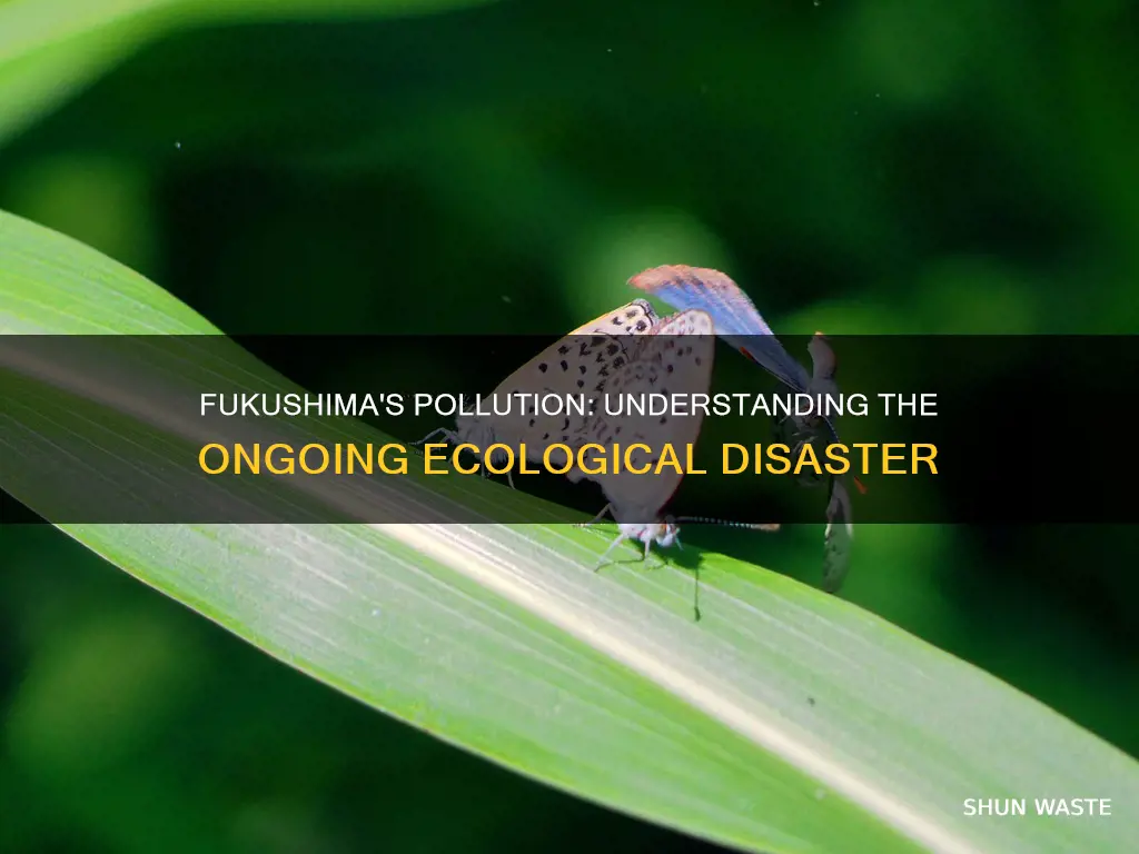 how bad is the pollution from fukushima