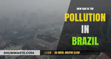 Brazil's Pollution Crisis: A Dire Situation