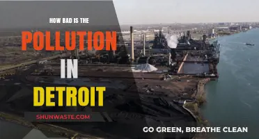 Detroit's Pollution Crisis: A Dire Situation