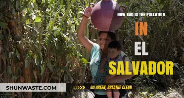 El Salvador's Pollution Crisis: A Dire Situation