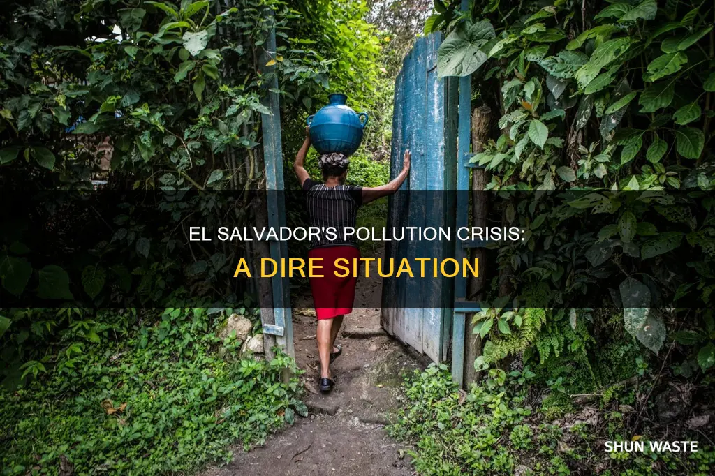 how bad is the pollution in el salvador