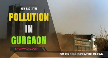 Gurgaon's Pollution: A City Choking Under Smog