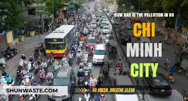Ho Chi Minh City's Pollution: A Dire Situation