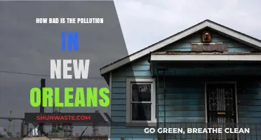 The Pollution Crisis in New Orleans