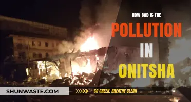 Onitsha's Pollution: A City Choking on Trash