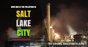 Salt Lake City's Pollution: A Health Crisis?