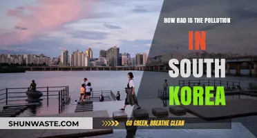 South Korea's Pollution Crisis: A Dire Situation