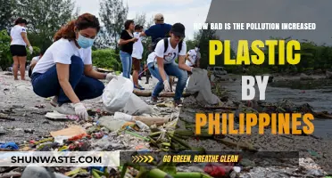 Plastic Pollution Crisis in the Philippines